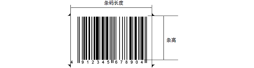 標準尺寸和放大倍數